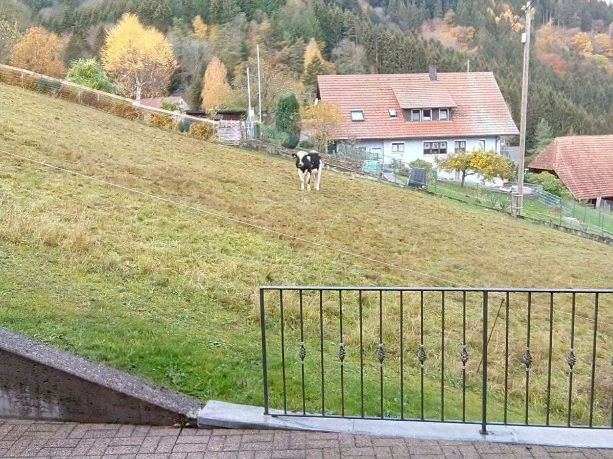 Ferienwohnung Morgensonne Wolfach Buitenkant foto